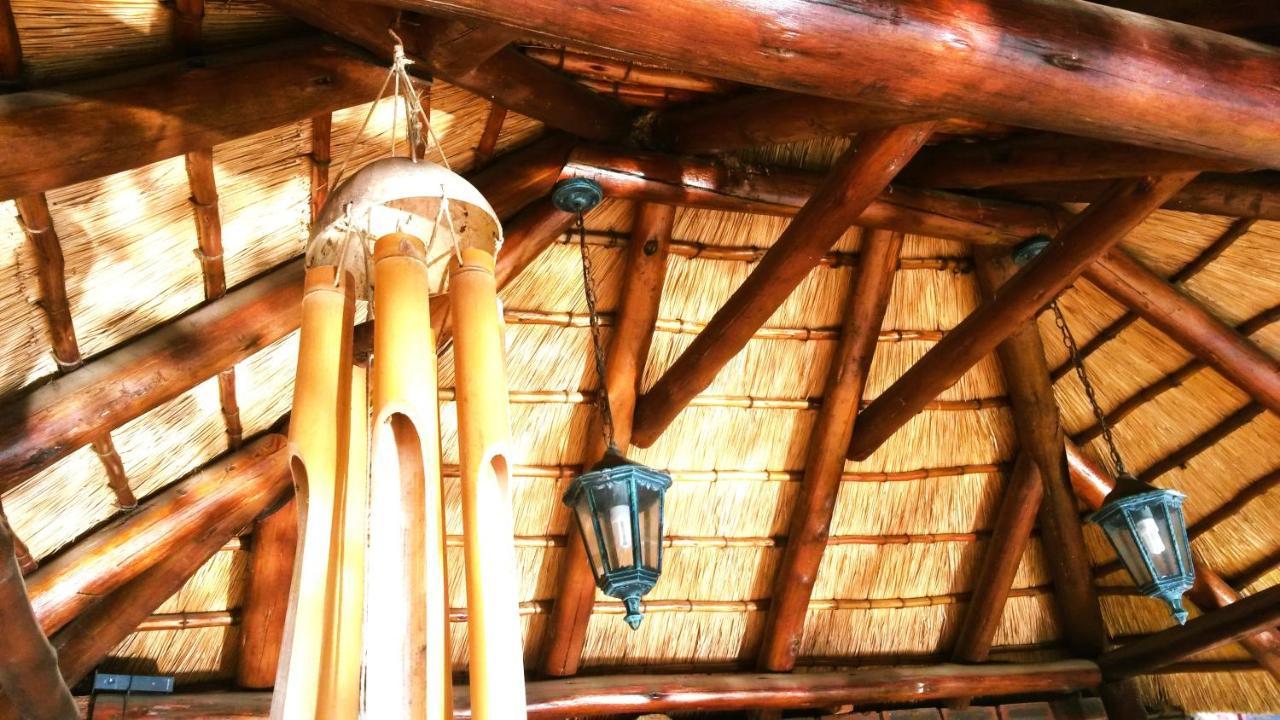 Old Mill Guest House เดอร์บัน ภายนอก รูปภาพ
