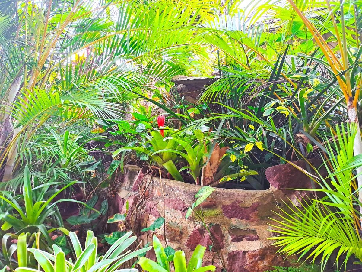 Old Mill Guest House เดอร์บัน ภายนอก รูปภาพ